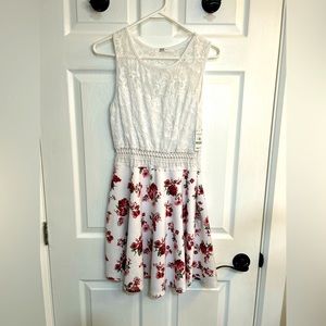 Floral Lace Trapeze Dress